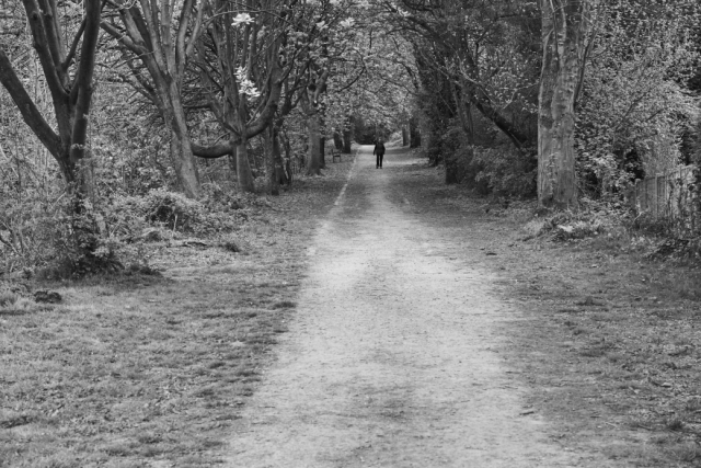The Whaley Bridge Incline