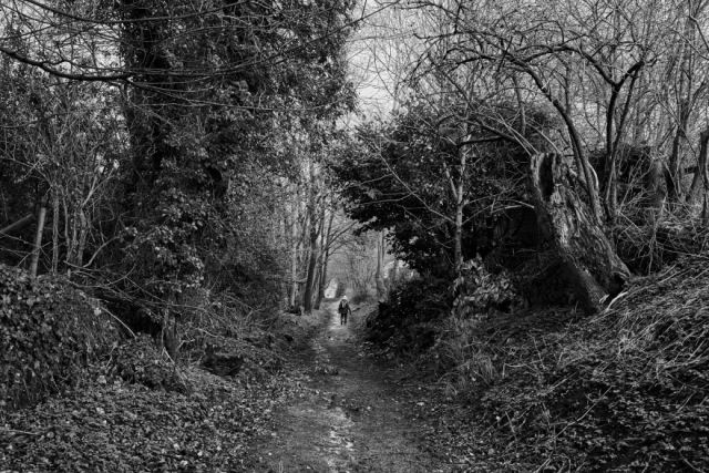 Looking down the Shallcross Incline, Whaley Bridge.